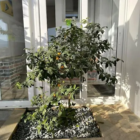 Colourful ! View ! Free Parking Kavala